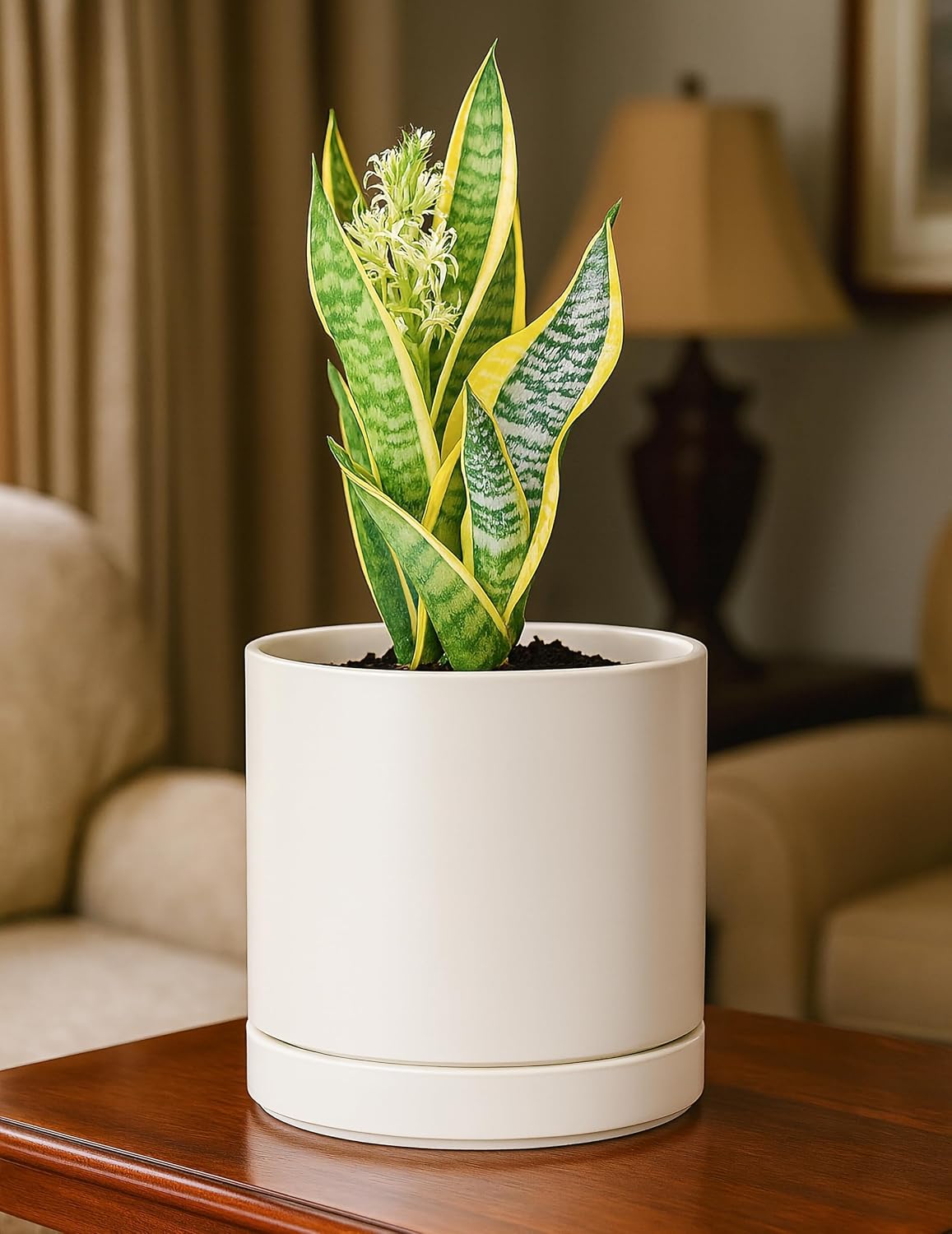 Minimal Ceramic Planter with Saucer