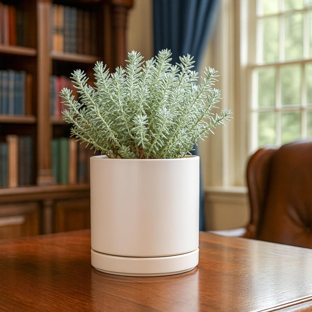Minimal Ceramic Planter with Saucer